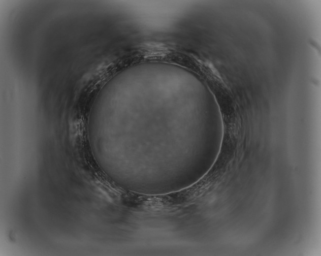 X0000092051445200709121203