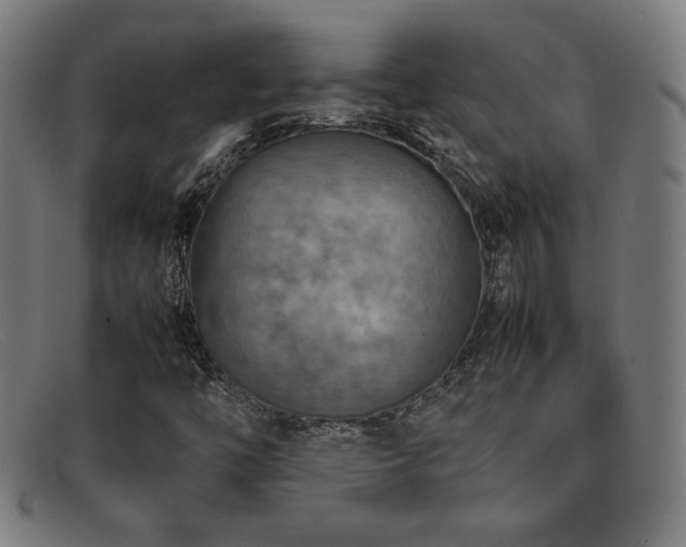 X0000092051446200709121203