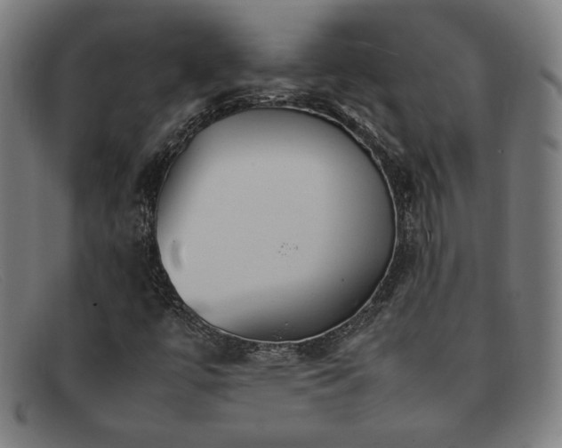 X0000092051447200709121203