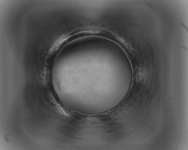 X0000092051448200709121203