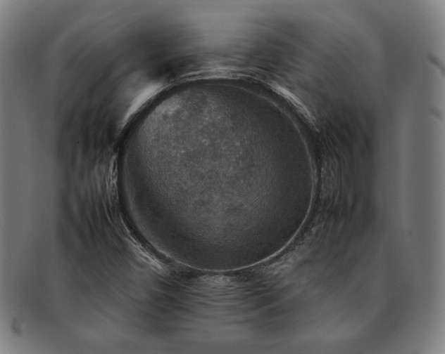 X0000092051450200709121203