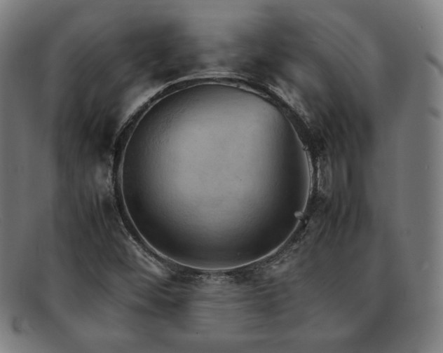 X0000092051452200709121203