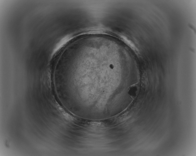 X0000092051456200709121203