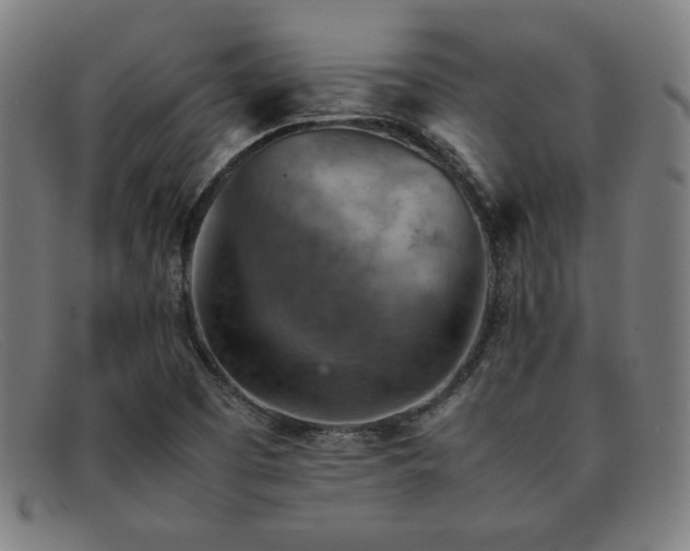 X0000092051457200709121203