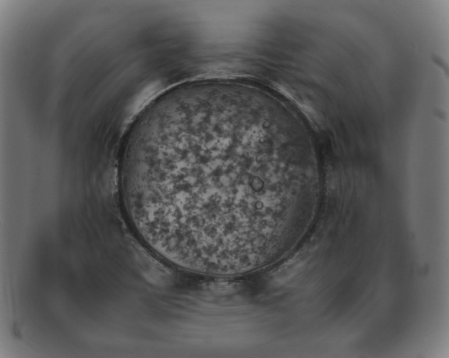 X0000092051459200709121203