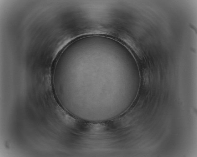 X0000092051460200709121203