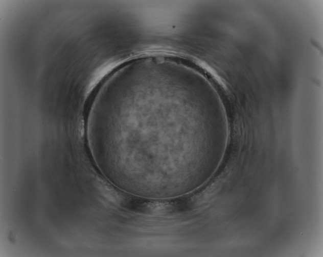 X0000092051461200709121203