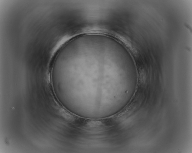 X0000092051462200709121203