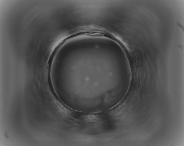 X0000092051463200709121203