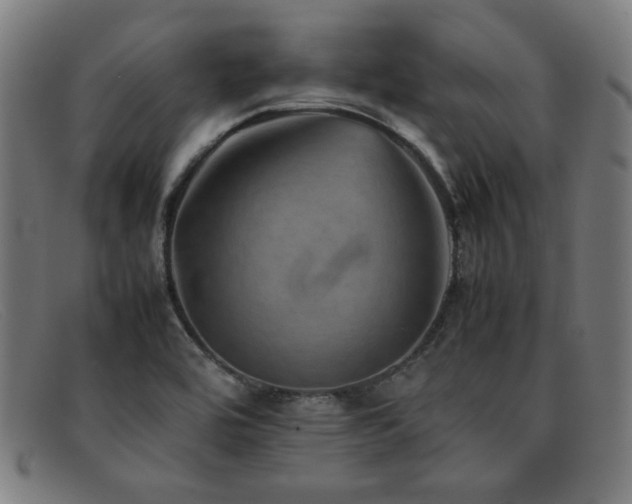 X0000092051464200709121203