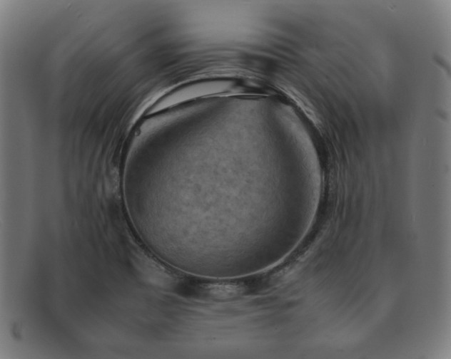 X0000092051465200709121203