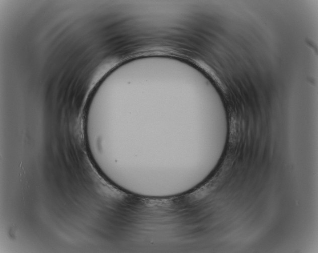 X0000092051466200709121203