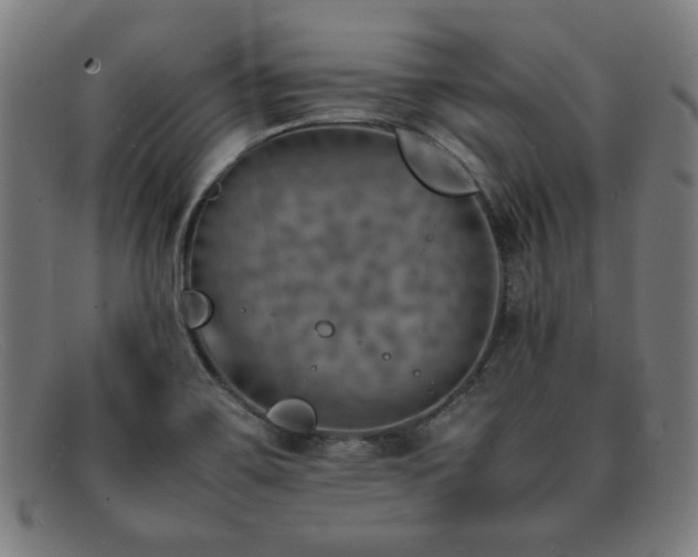 X0000092051467200709121203