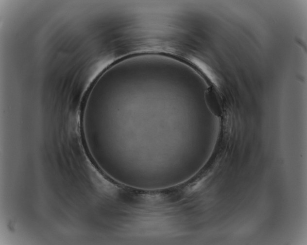 X0000092051468200709121203