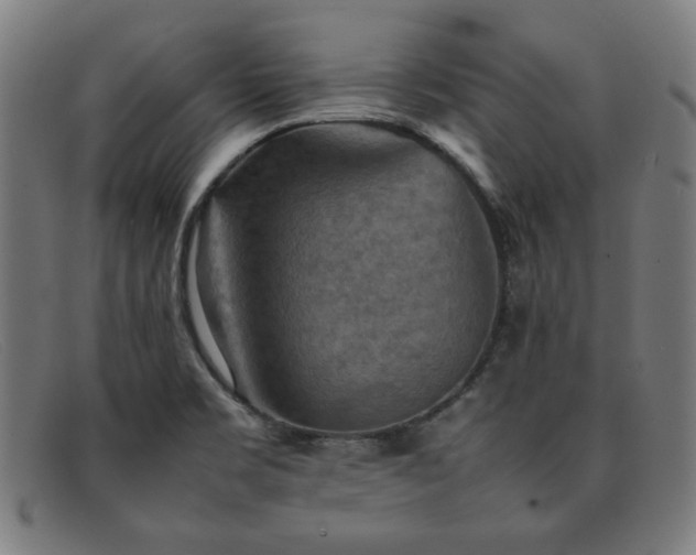 X0000092051469200709121203