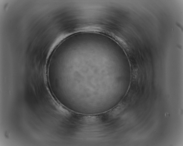 X0000092051470200709121203