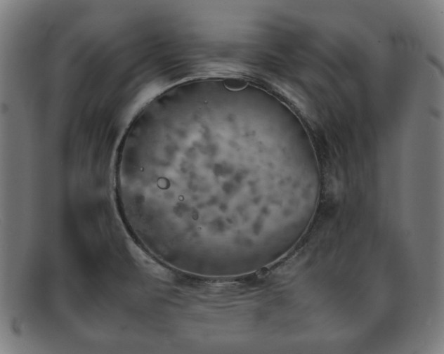 X0000092051471200709121203