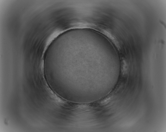 X0000092051472200709121203