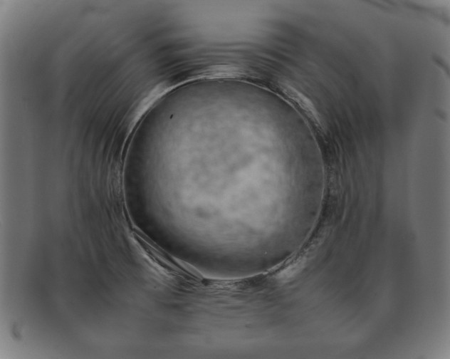 X0000092051473200709121203