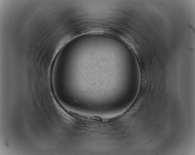 X0000092051475200709121203