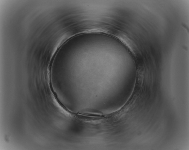 X0000092051476200709121203