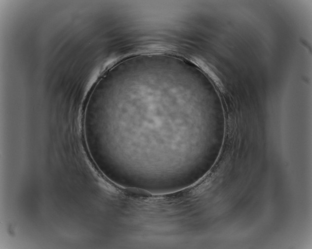 X0000092051477200709121203