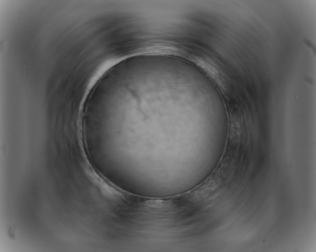 X0000092051478200709121203