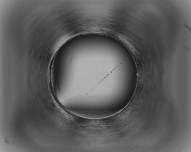 X0000092051479200709121203