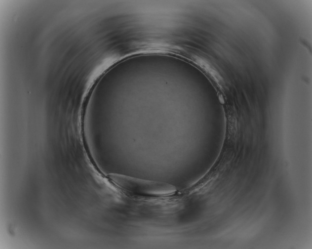 X0000092051480200709121203