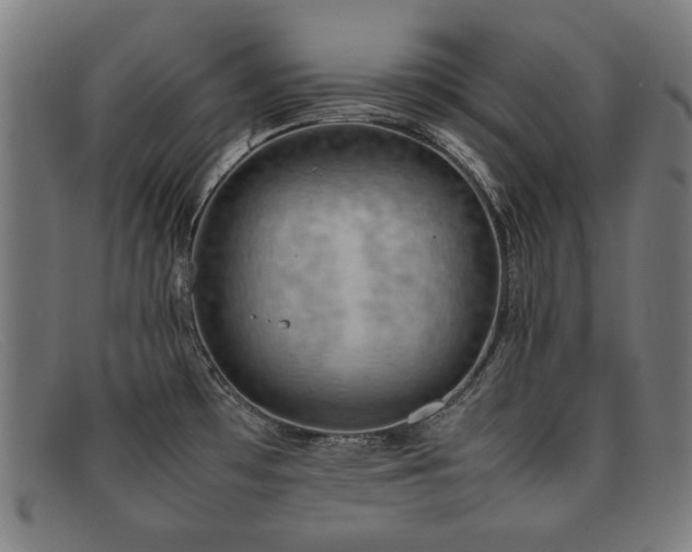 X0000092051481200709121203