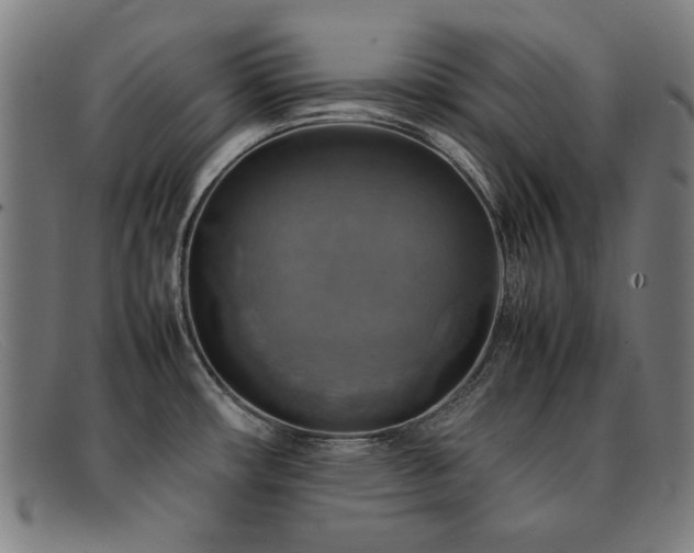 X0000092051482200709121203