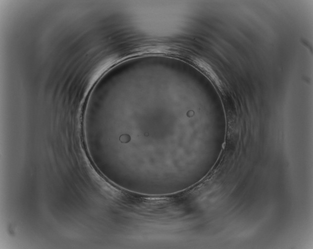 X0000092051483200709121203