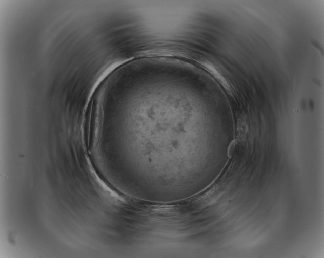 X0000092051484200709121203