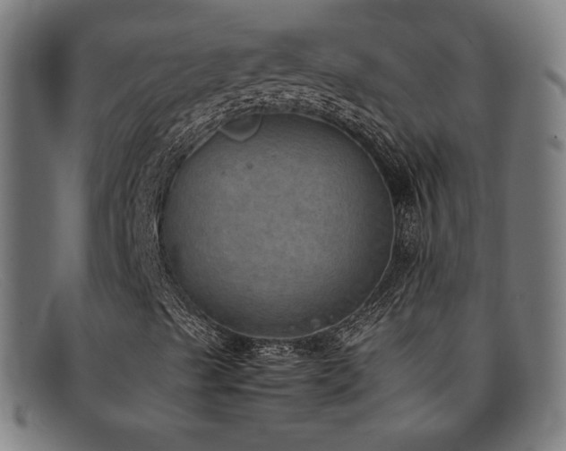 X0000092051489200709121202