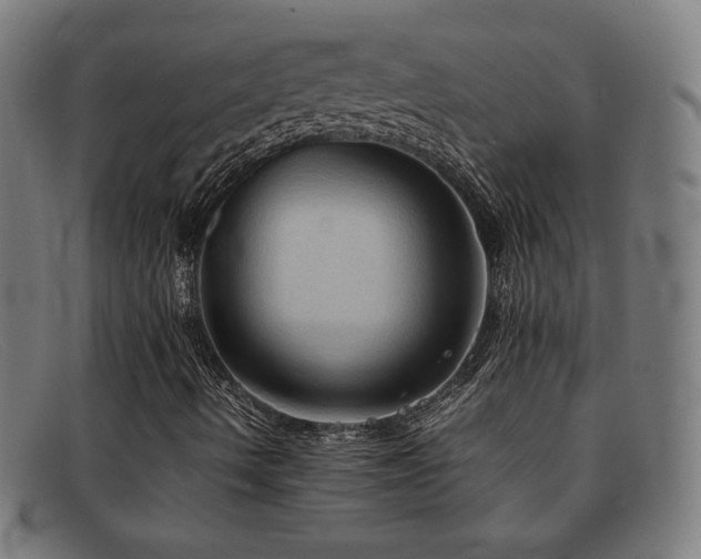 X0000092051490200709121202