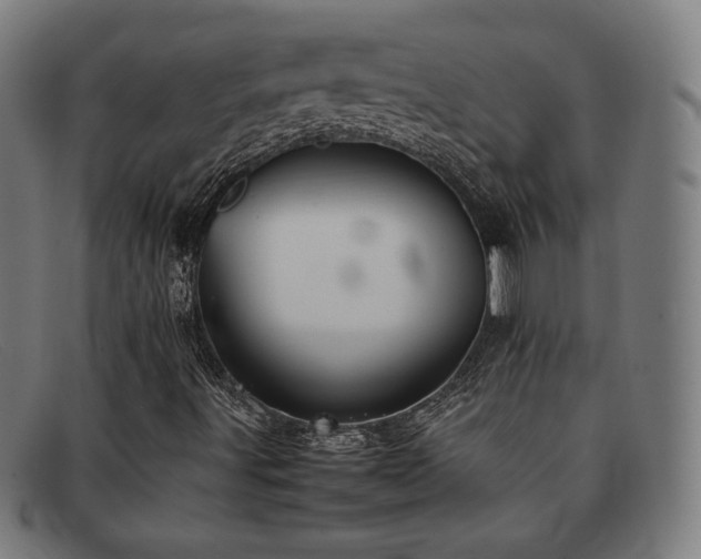 X0000092051491200709121202