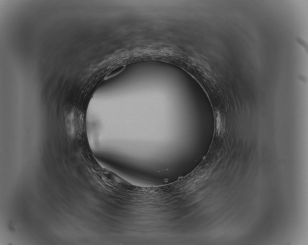 X0000092051492200709121202