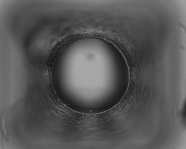 X0000092051493200709121202