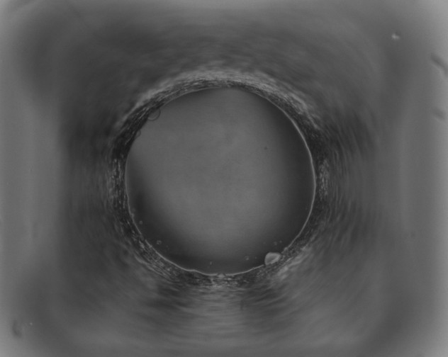 X0000092051494200709121202