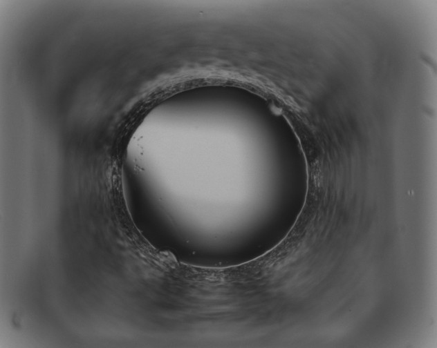 X0000092051495200709121202