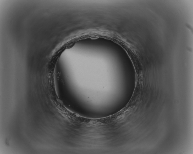 X0000092051496200709121202