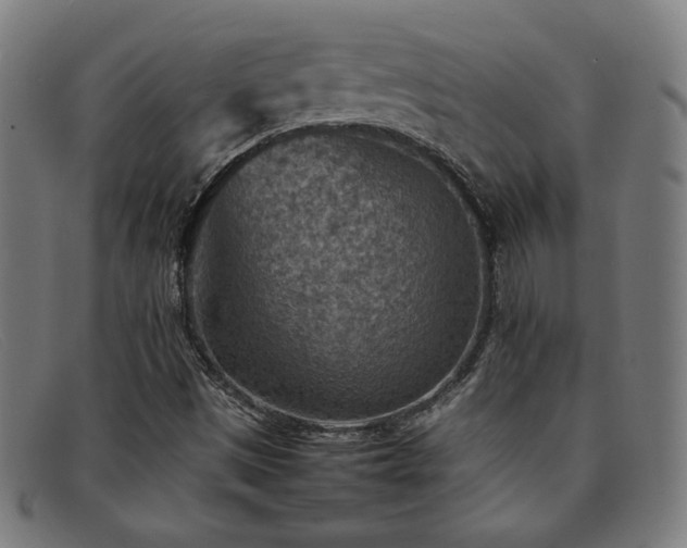 X0000092051497200709121202