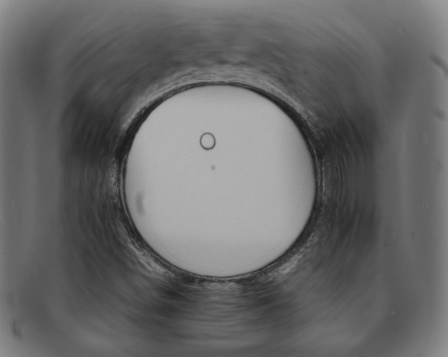 X0000092051498200709121202