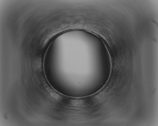 X0000092051499200709121202