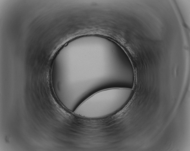 X0000092051500200709121202