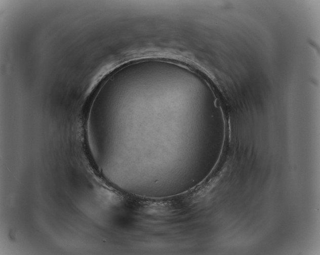 X0000092051501200709121202