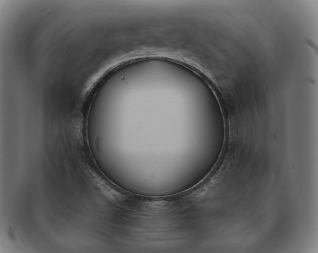 X0000092051502200709121202