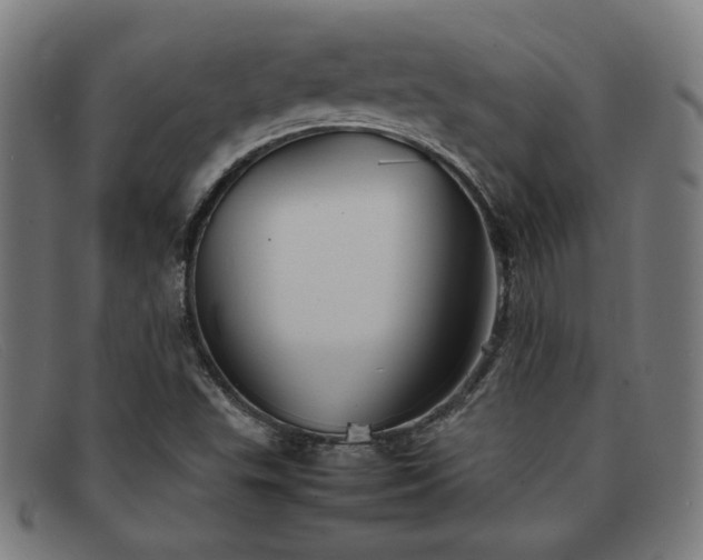 X0000092051503200709121202