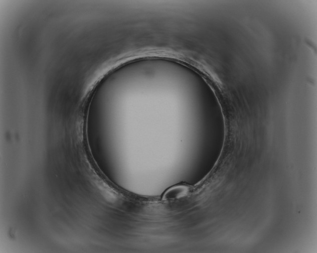 X0000092051504200709121202