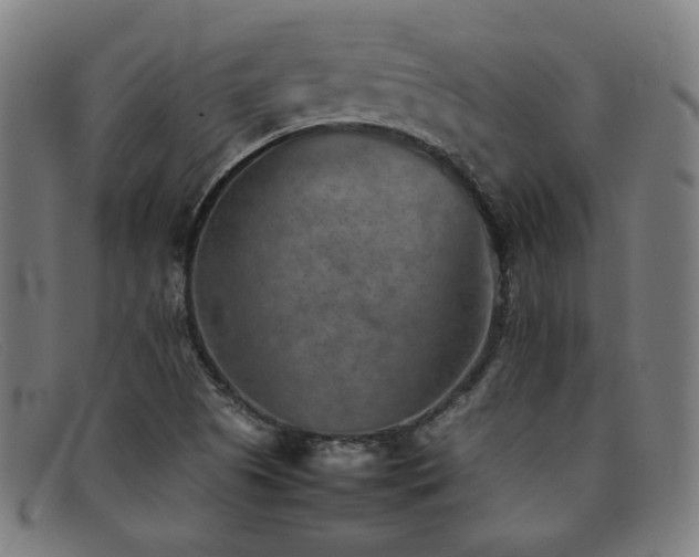 X0000092051505200709121202